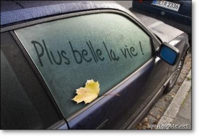 Plus belle la vie